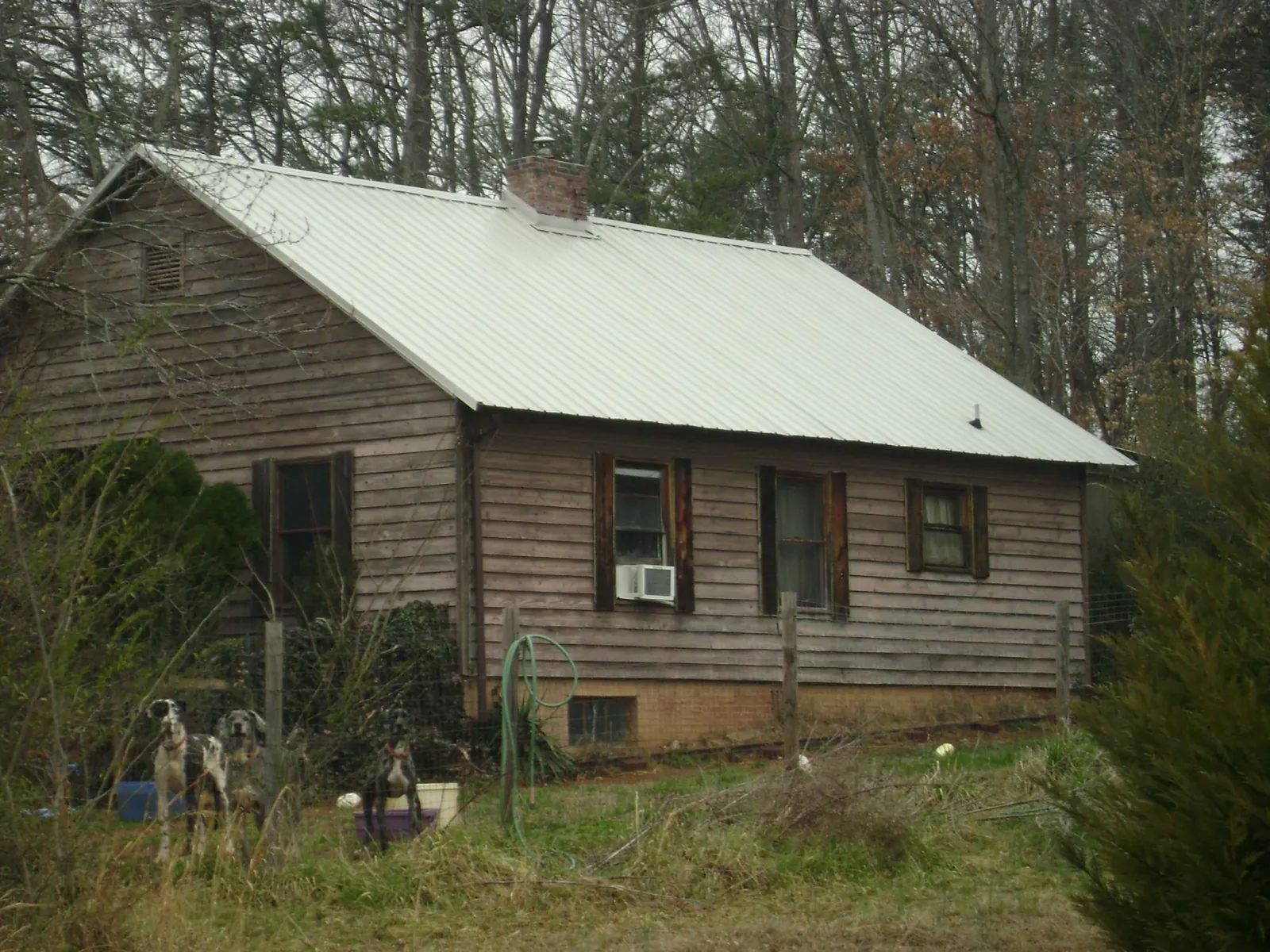 White metal roof on an old wood sided farmhouse, from a Asphalt Shingle Roof Repair job in Park Rapids
